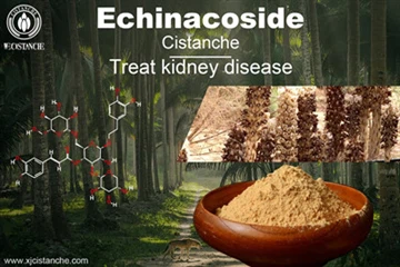 Can you recover from acute kidney injury