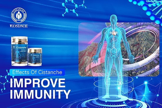 Cistanche deserticolaimprove immunity 6 Cistanche deserticolaimprove immunity 6