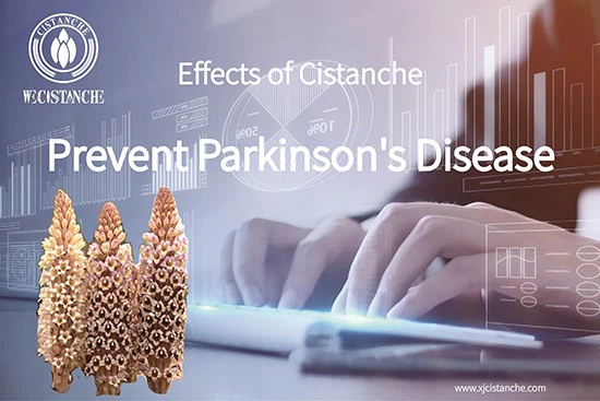 The efficacy of Cistanche deserticola - preventing Parkinsons disease 8 The efficacy of Cistanche deserticola - preventing Parkinsons disease 8