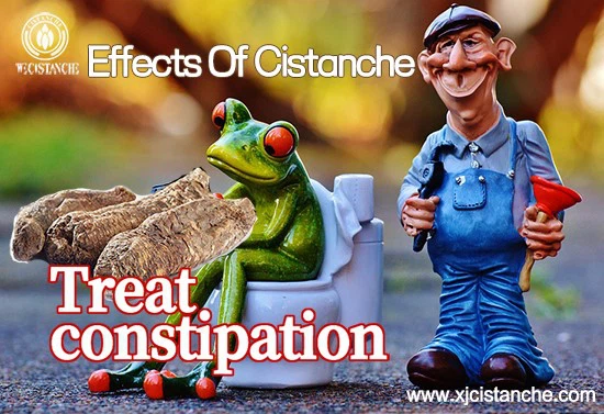 effects of cistanche-treat constipation 2 effects of cistanche-treat constipation 2