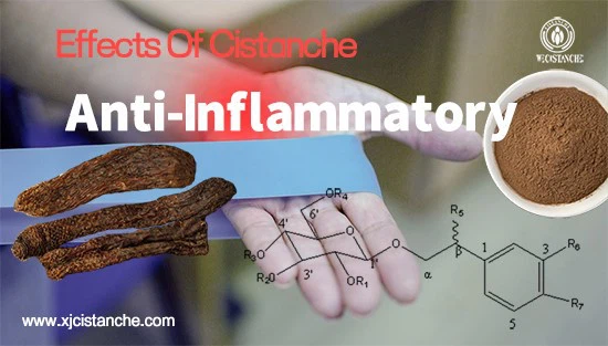 Effects of Cistanche-anti-inflammatory2 Effects of Cistanche-anti-inflammatory2