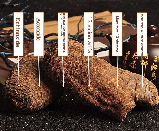 Main Chemical Constituents of Cistanche deserticola Main Chemical Constituents of Cistanche deserticola