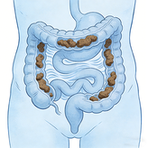 Cistanche benefits for Relieving constipation Cistanche benefits for Relieving constipation