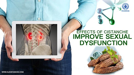 Dragon Herbs cistanche-improve kidney function Dragon Herbs cistanche-improve kidney function