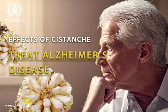cistanche-prevent Alzheimers disease 6 cistanche-prevent Alzheimers disease 6