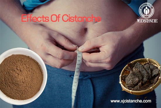 Benefits of cistanche tubulosa Benefits of cistanche tubulosa