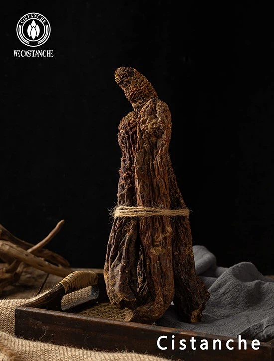 superman herbs cistanche superman herbs cistanche