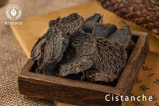 Cistanche tubulosa slice Cistanche tubulosa slice