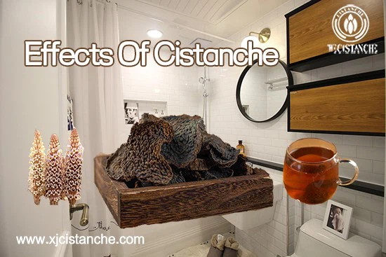 effects of cistanche-treat constipation 3 effects of cistanche-treat constipation 3