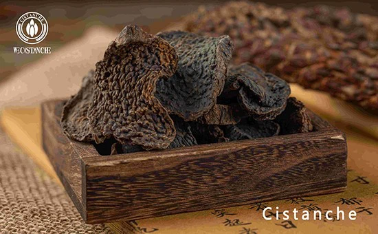 Cistanche tubulosa slice Cistanche tubulosa slice