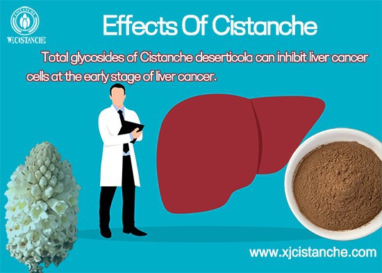 Total glycosides of Cistanche tubulosa can inhibit liver cancer cells at the early stage of liver cancer 1 Total glycosides of Cistanche tubulosa can inhibit liver cancer cells at the early stage of liver cancer 1