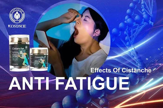 effects of cistanche-anti fatigue effects of cistanche-anti fatigue