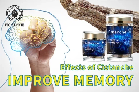 cistanche-Improve memory 8 cistanche-Improve memory 8