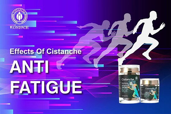 effects of cistanche-anti fatigue effects of cistanche-anti fatigue