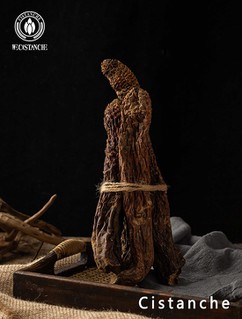 Cistanche oxidation resistance for the human health Cistanche oxidation resistance for the human health