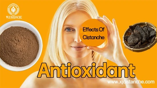 Desert living cistanche-Antioxidant.jpg Desert living cistanche-Antioxidant.jpg