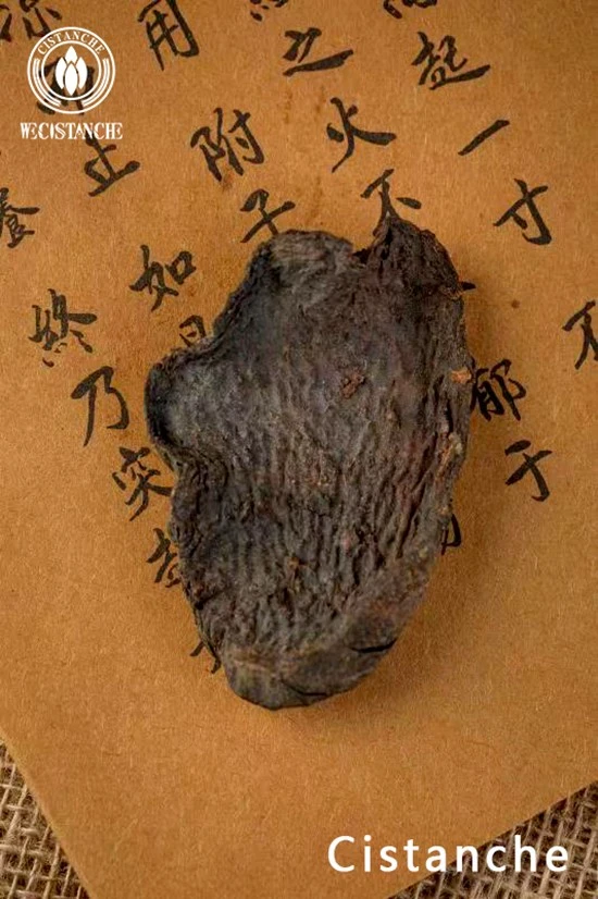  Cistanche tubulosa slice (7).jpg