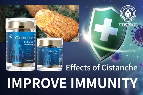 Desert ginseng-Improve immunity 16 Desert ginseng-Improve immunity 16