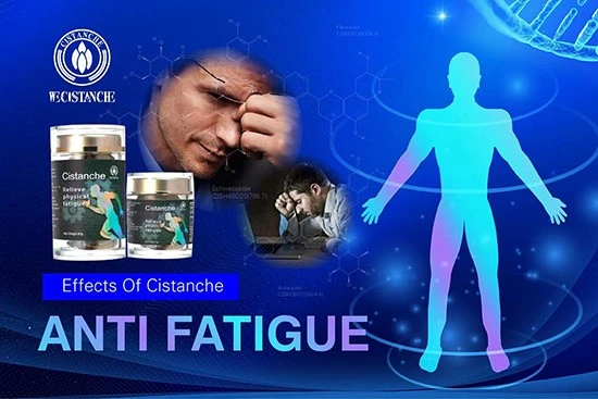 effects of cistanche-anti fatigue effects of cistanche-anti fatigue