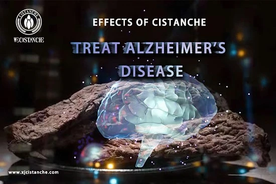 cistanche-prevent Alzheimers disease cistanche-prevent Alzheimers disease