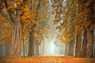 path-45911211280 path-45911211280