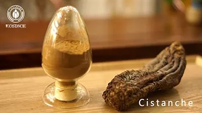 Cistanche benefits for health Cistanche benefits for health