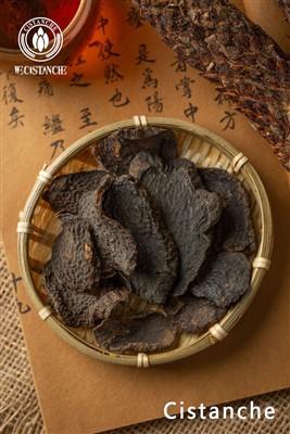 Cistanche benefits for the human Cistanche benefits for the human