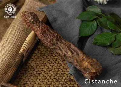 Cistanche benefits for whitening the skin Cistanche benefits for whitening the skin