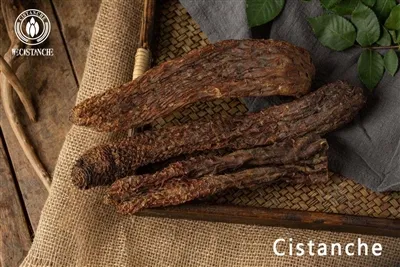 Cistanche benefits for health Cistanche benefits for health