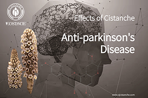 Intervention Of Cistanche Tubulosa in Elderly Dementia: Analysis Of Tradition...
