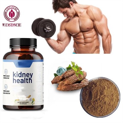 World Kidney Day | Strengthening The Foundation & Restoring Balance: Traditio...