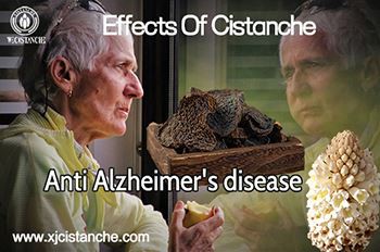 Active Ingredients Of Cistanche Tubulosa And Alzheimer's Disease: Targets And...