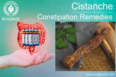 Research Progress On Cistanche Intervention In Alzheimer’s Disease Based On T...