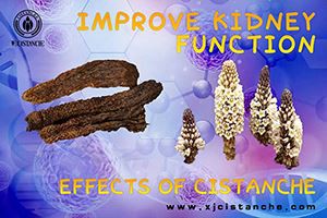 Don't Rush To Replenish The Fire, Complete Daily Kidney Nourishing Strategy F...