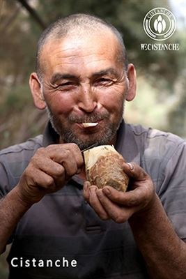 Why Do We Have To Eat Cistanche Tubulosa in Summer? 90% Of People Don't Know