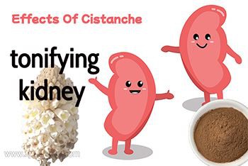 Sweet And Warm Entering The Kidneys, Nourishing Essence And Strengthening Yan...