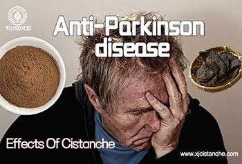 The Association Between Senile Dementia And Kidney Deficiency, How Does Cista...