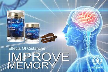 Does Kidney Deficiency Easily Lead To Poor Memory? Cistanche Tubulosa Tonifie...