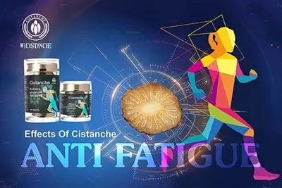 Natural Cistanche Formula: Build Muscle, Burn Stubborn Fat & Boost Unlimited ...