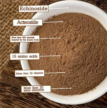 Cistanche benefits for man Cistanche benefits for man