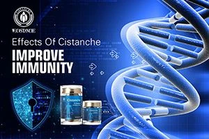 A Review Of The Research On The Regulation Of Cell Apoptosis And Anti Mutatio...