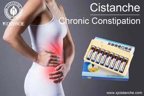 Metabolic Mechanism Of Interaction Between Cistanche Polysaccharides And Gut ...