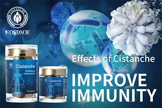 How Does Cistanche Tubulosa Polysaccharide Activate The Body's Immune Defense...
