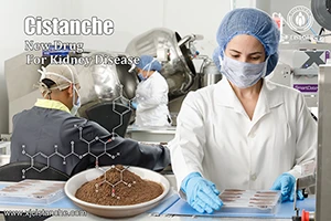 Fearless Of Fluctuations in Raw Materials And Processing Losses, Wecistanche ...