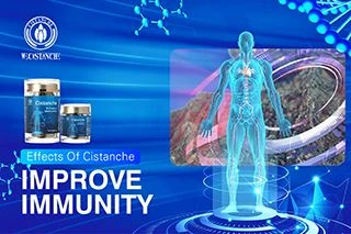 Progress in Pharmacological Research On Traditional Chinese Medicine For Card...