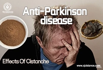 Mechanism Research And Clinical Application Progress Of Cistanche Tubulosa in...