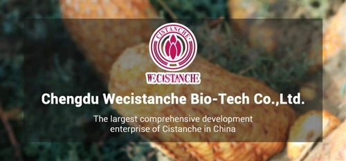 Safety Evaluation Of Cistanche Tubulosa For Food Use (Oral Toxicology & Genot...