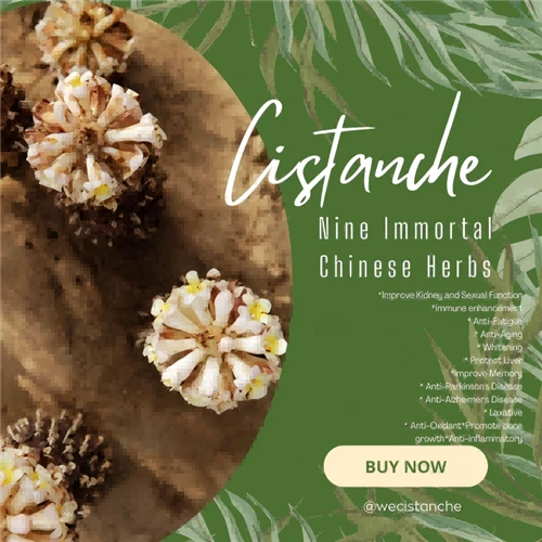 How To Take Cistanche So It Actually Works