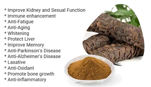 Smart Herb Combinations With Cynomorium Songaricum: Addressing Premature Ejac...