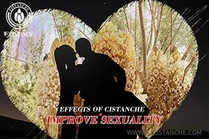 The Quiet Struggles Of Middle-Aged Couples: A TCM Perspective, And Why Cistan...